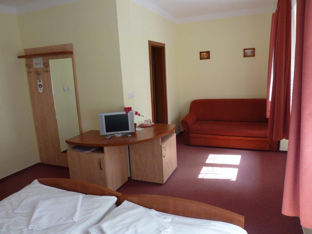 Hotel Excelsior - 2lůžkový pokoj