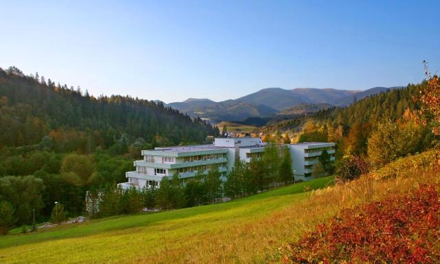 Lázeňský dům Polana, Lázně Brusno, Slovensko, Dovolená s CK 