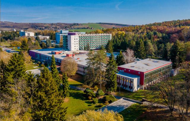 Lázeňský dům Rubín, Dudince, Slovensko: Dovolená s CK 