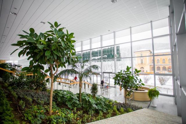 Hotel NAT Piwniczna-Zdrój, Piwniczna-Zdrój, Dovolená s CK 