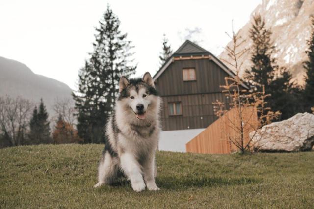 Residence Soča, Soča, Slovinsko, Dovolená s CK 
