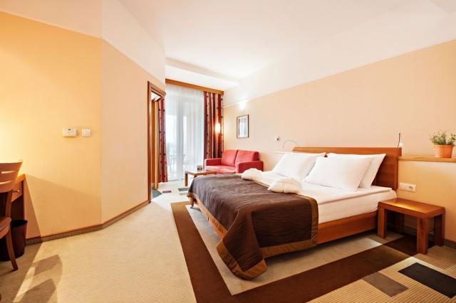 2lůžkový pokoj, Hotel Livada Prestige, Terme 3000, Moravské Tep