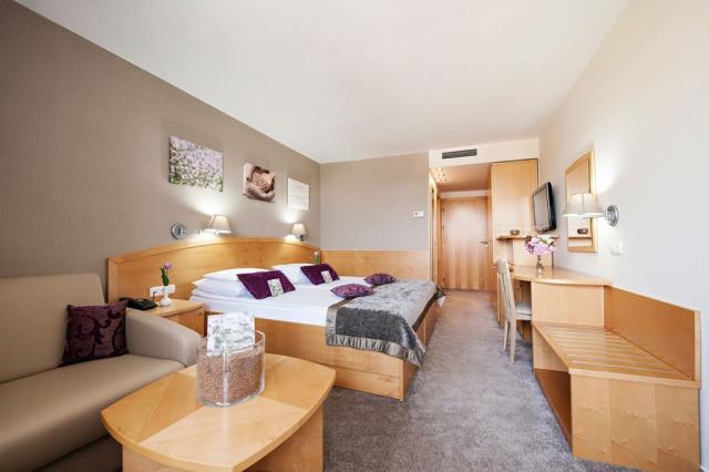 2lůžkový pokoj Premium, Hotel Ajda, Terme 3000, Moravské Teplic