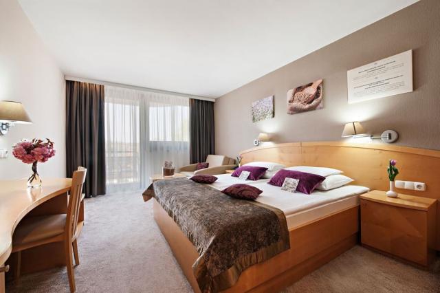 2lůžkový pokoj Premium, Hotel Ajda, Terme 3000, Moravské Teplic
