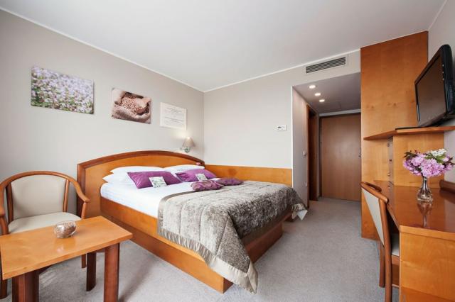2lůžkový pokoj ECONOMY, Hotel Ajda, Terme 3000, Moravské Teplic