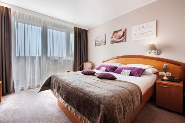2lůžkový pokoj ECONOMY, Hotel Ajda, Terme 3000, Moravské Teplic