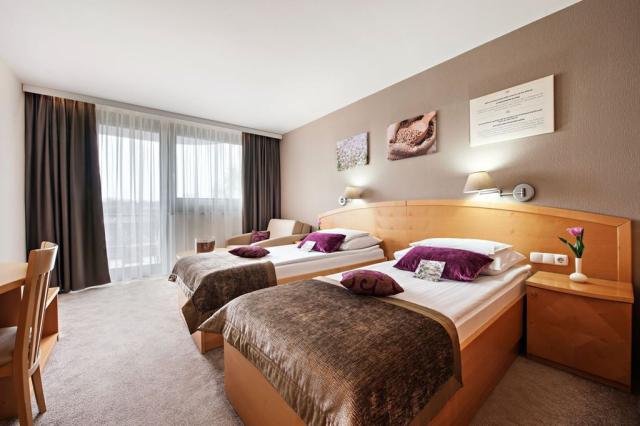 2lůžkový pokoj Premium, Hotel Ajda, Terme 3000, Moravské Teplic