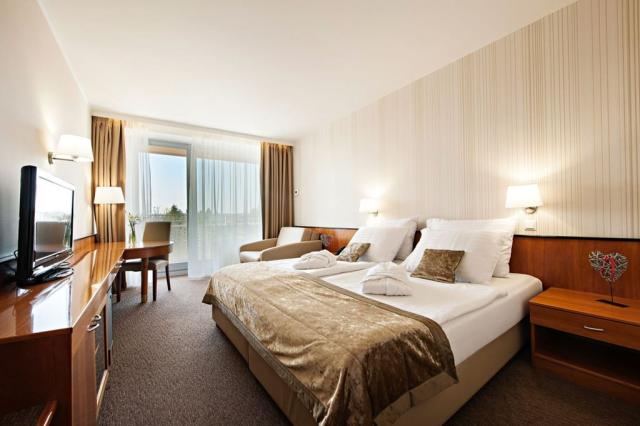 2lůžkový pokoj Deluxe, Hotel Radin, Terme Radenci, Slovinsko, C