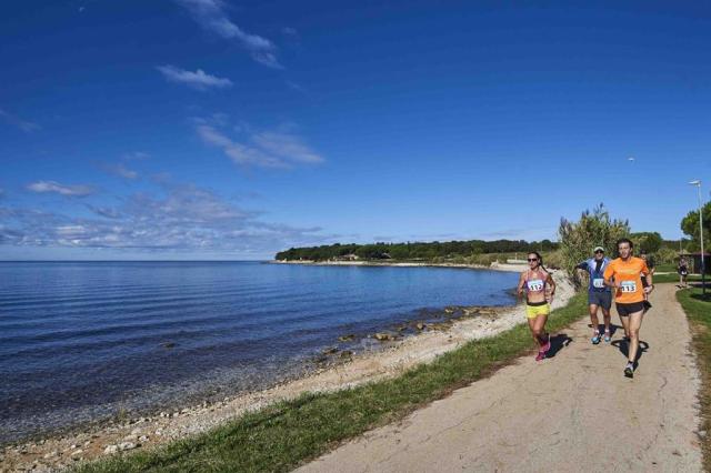 Aminess Laguna Hotel, Novigrad, Istrie, Chorvatsko, CK 