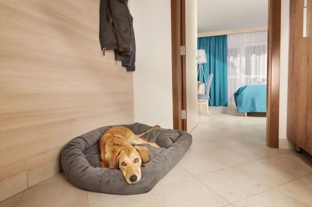 2lůžkový pokoj s balkonem 2+2, Adria Ankaran Hotel & Resort, CK