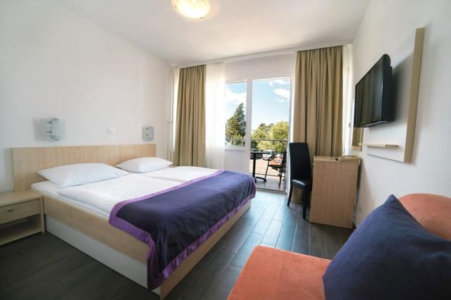 2lůžkový pokoj Superior s balkonem, Hotel Slaven, CK 