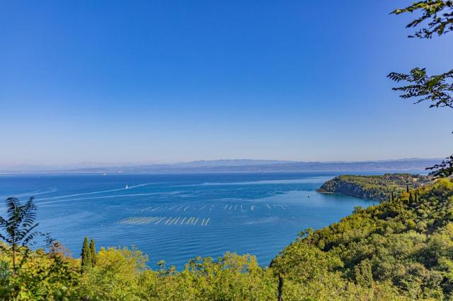 Adria Apartments, Adria Ankaran Hotel & Resort, Slovinsko, CK 
