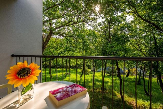 2lůžkový pokoj Standard stranou k moři, Holiday Resort Kačjak, 