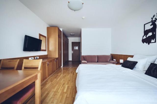 2lůžkový pokoj Deluxe, Wellness & Spa Hotel Bolfenk, CK 