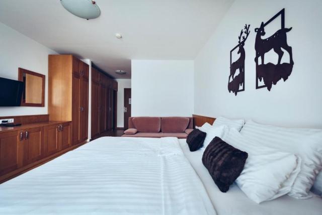 2lůžkový pokoj Deluxe, Wellness & Spa Hotel Bolfenk, CK 