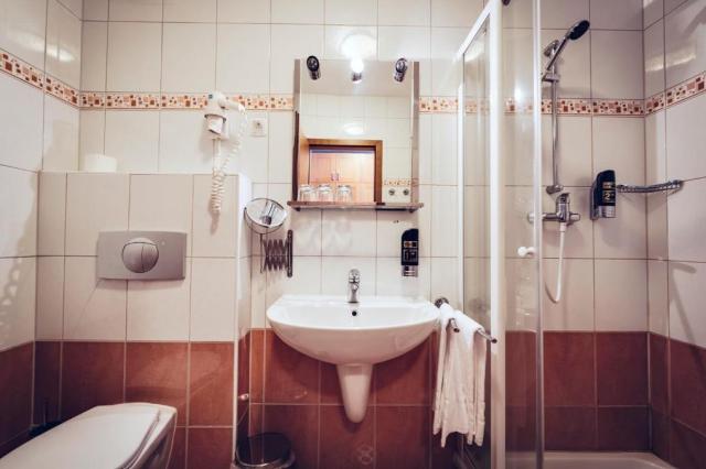 2lůžkový pokoj Deluxe, Wellness & Spa Hotel Bolfenk, CK 