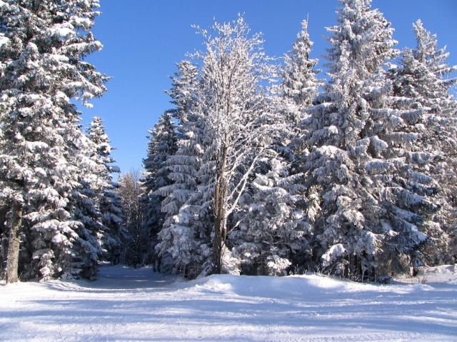 Pohorje Village Wellness & Spa, Maribor, Slovinsko, CK 