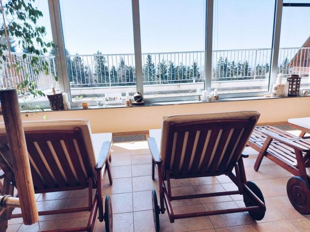 Wellness & Spa family apartments Bolfenk, Pohorje Village, Mari
