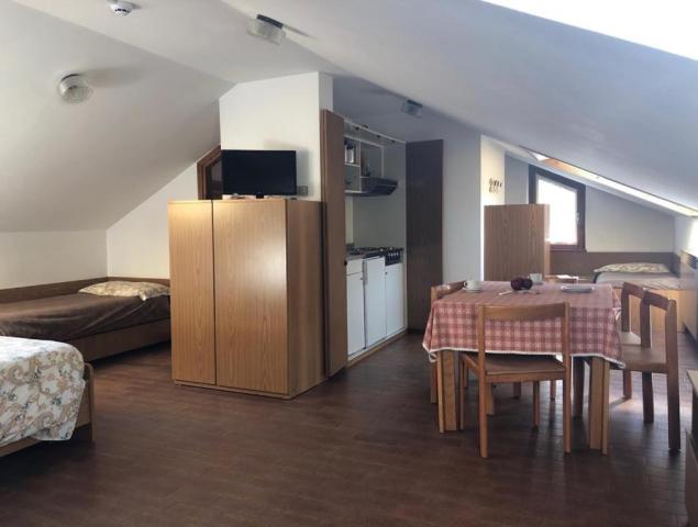 ednopokojový apartmán v podkroví MONO 4+1, Residence Ables, CK 