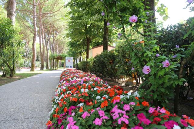 Camping Sant Angelo Village, Cavallino Treporti, Itálie, Dovole