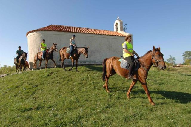 Camping Zaton Holiday Resort, Zadar, Dalmácie, Chorvatsko, Dovo