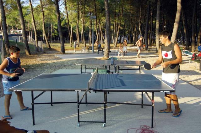 Camping Zaton Holiday Resort, Zadar, Dalmácie, Chorvatsko, Dovo