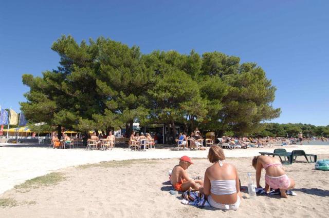 Camping Zaton Holiday Resort, Zadar, Dalmácie, Chorvatsko, Dovo