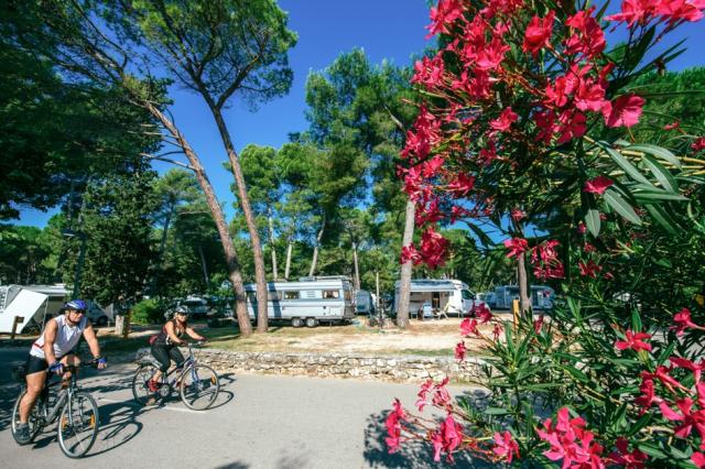 Camping Zaton Holiday Resort, Zadar, Dalmácie, Chorvatsko, Dovo