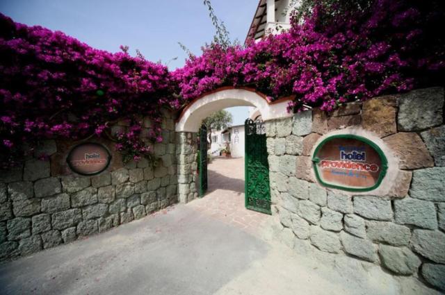 Hotel Providence, Forio d'Ischia, Itálie, CK 