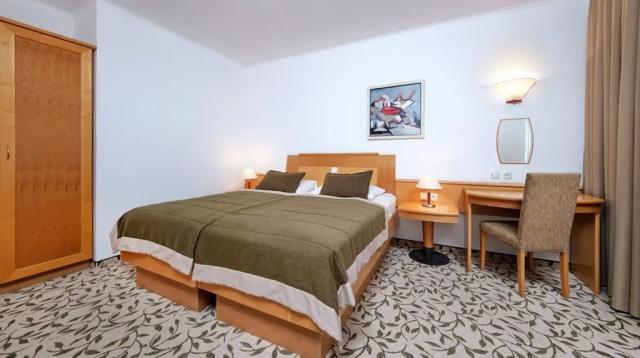 2lůžkový pokoj s přistýlkou, Hotel Vital, CK 