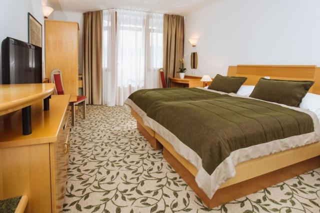 2lůžkový pokoj, Hotel Vital, CK 