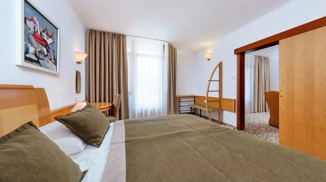 1ložnicový apartmán Classic Suite, Hotel Vital, Terme Zreče, CK