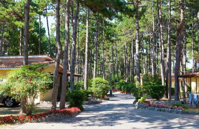 Villaggio Turistico Internazionale, Bibione, Itálie, CK 