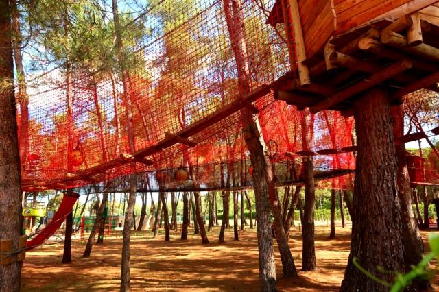 Camping Bi Village, Fazana, Istrie, Chorvatsko, Dovolená s CK 