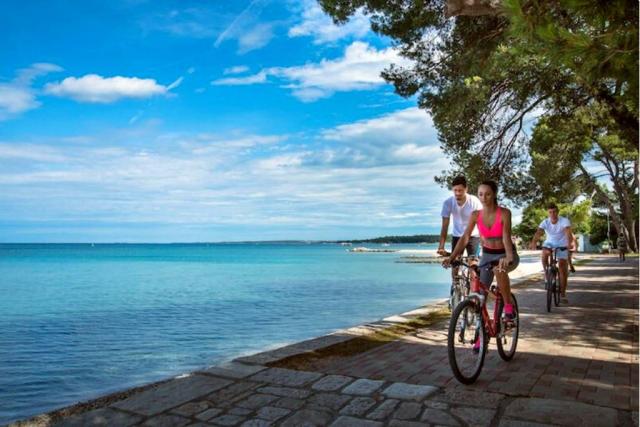 Camping Bi Village, Fazana, Istrie, Chorvatsko, Dovolená s CK 