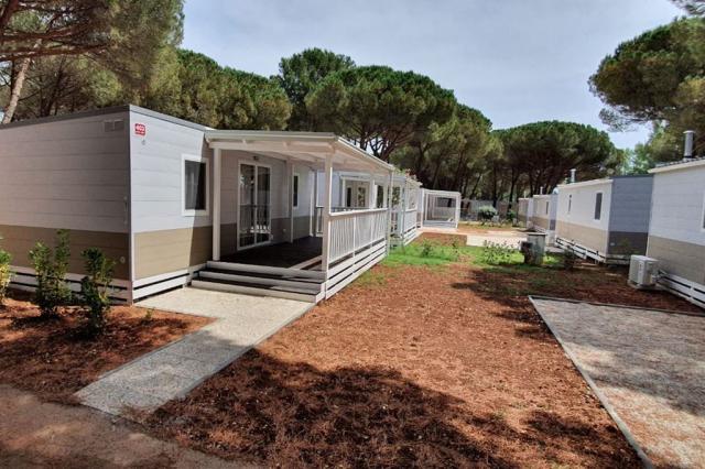 Mobilní dům Lodge Comfort 6+0 (32 m2), Bi Village, CK 