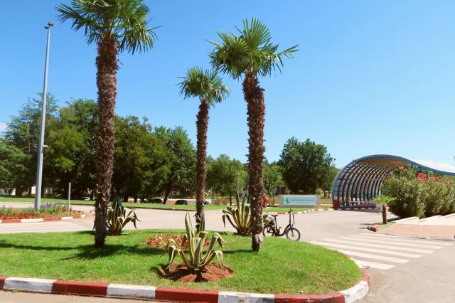 Camping Bijela Uvala, Zelena laguna, Poreč, Istrie, Chorvatsko,