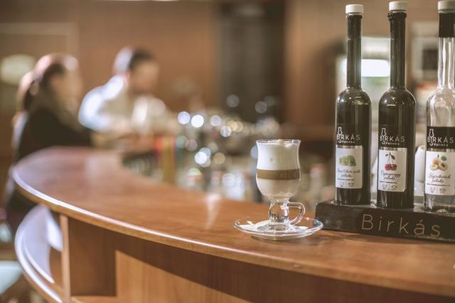 Apartman hotel, Bukfurdo, Maďarsko, Dovolená s CK 