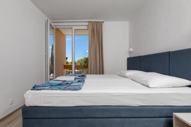 2lůžkový pokoj Economy s balkonem 2+1, Hotel Alem, CK 