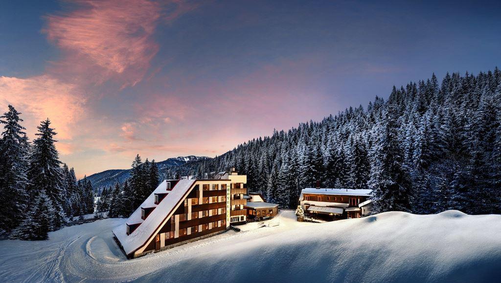 Ski