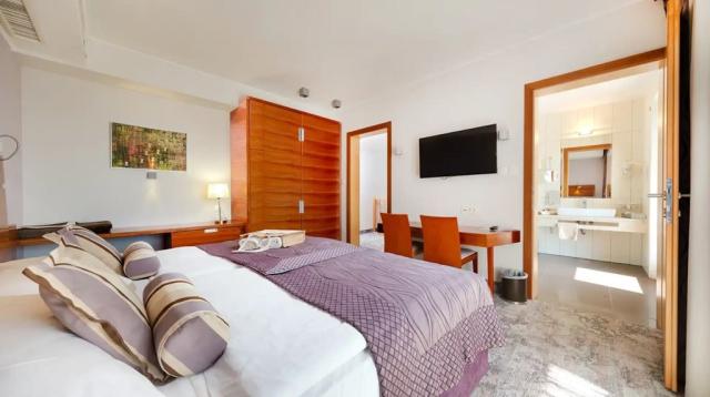 Apartmán Gala Prestige,  Hotel Atrij, CK 