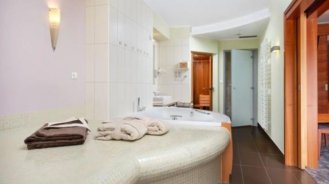 Apartmán Gala Suite,  Hotel Atrij, CK 