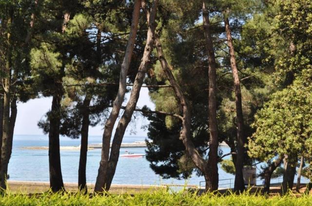 Hotel Flores, Poreč, Istrie, Chorvatsko, CK 