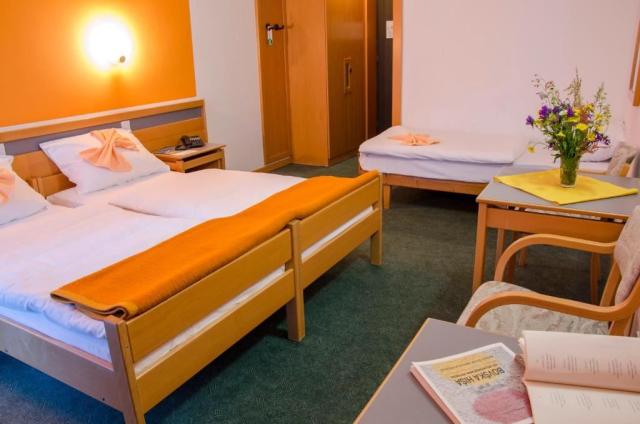 3lůžkový pokoj, Hotel Alp, Bovec, Slovinsko, CK 