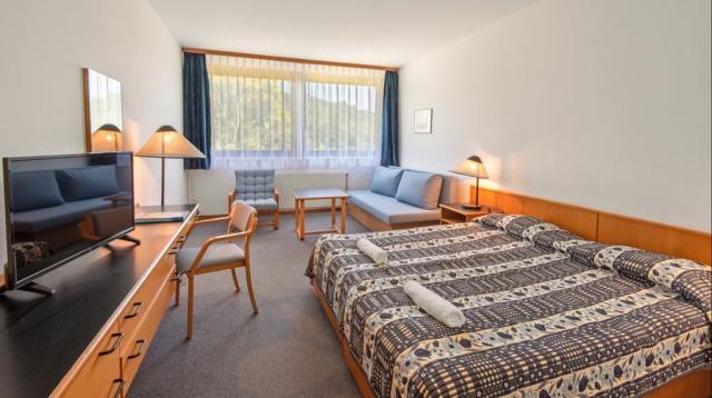 2lůžkový pokoj BASIC, Hotel Club Tihany, Balaton, Maďarsko, CK 