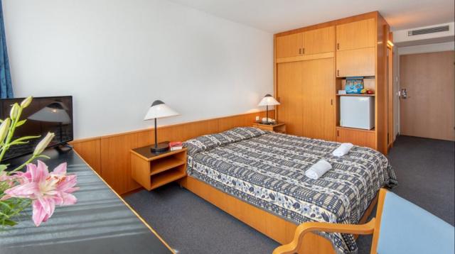 2lůžkový pokoj Standard Plus, Hotel Club Tihany, Balaton, Maďar
