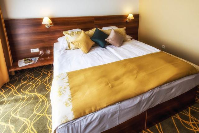 2lůžkový pokoj Standard 2+0, Wellness Hotel Bonvital, CK 