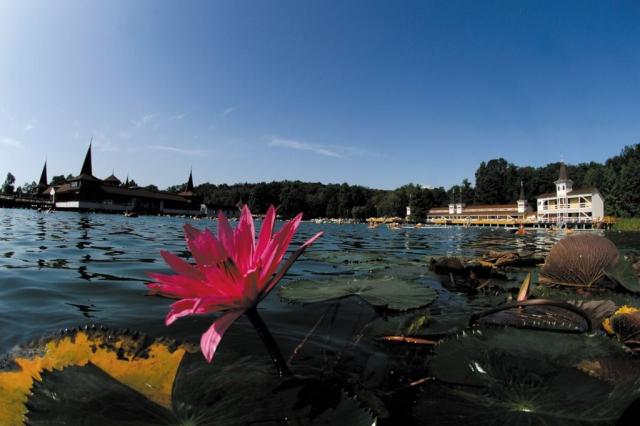 Lotus Therme Hotel & Spa, Heviz, Hévíz, Maďarsko, CK 