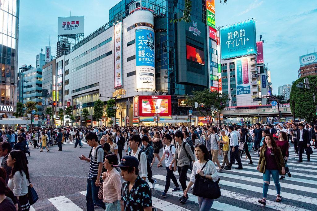 Poznávací zájezd do Japonska, Dovolená s CK