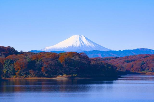 Poznávací zájezd do Japonska, Dovolená s CK 